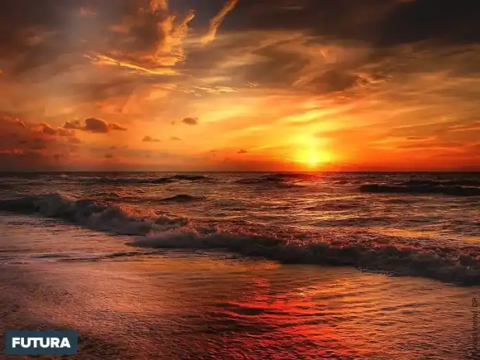 Marrakech to Essaouira: A Coastal Romance